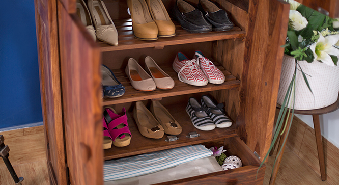 Magellan Shoe Cabinet (Teak Finish)